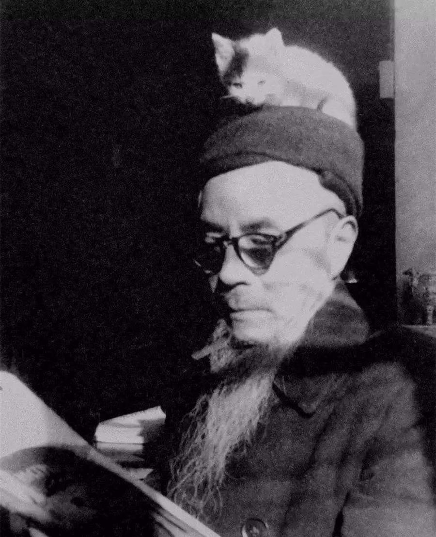 双十一来了去买点小零食吃,双十一来了你的购物车还缺什么