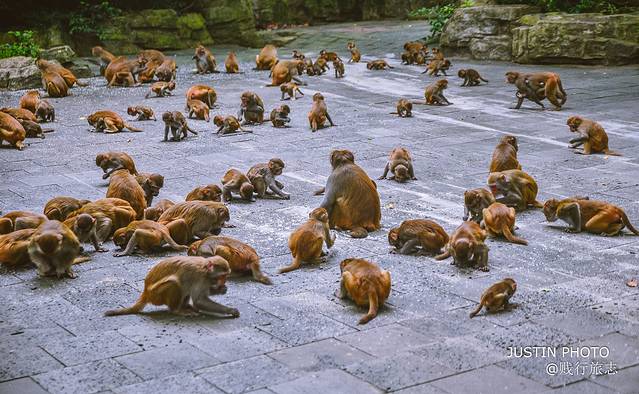 海南环岛旅行需要多少天,去海南过冬天去哪里最好