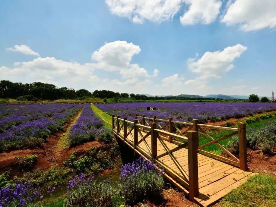 潮玩展昆明,潮玩云南