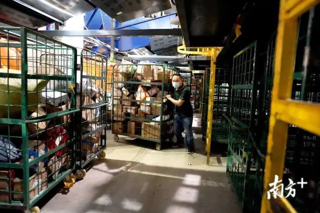 双十一堆成山的快递如何派件？东莞快递人这样做！