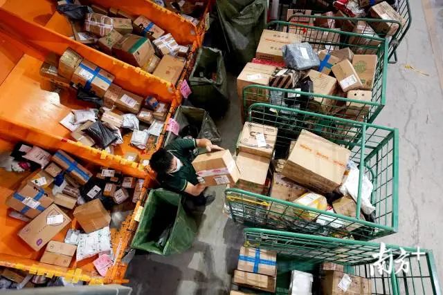 双十一堆成山的快递如何派件？东莞快递人这样做！