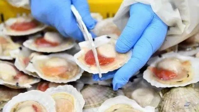 关于进口冷链食品注意事项,紧急提醒这类食品一定要谨慎购买