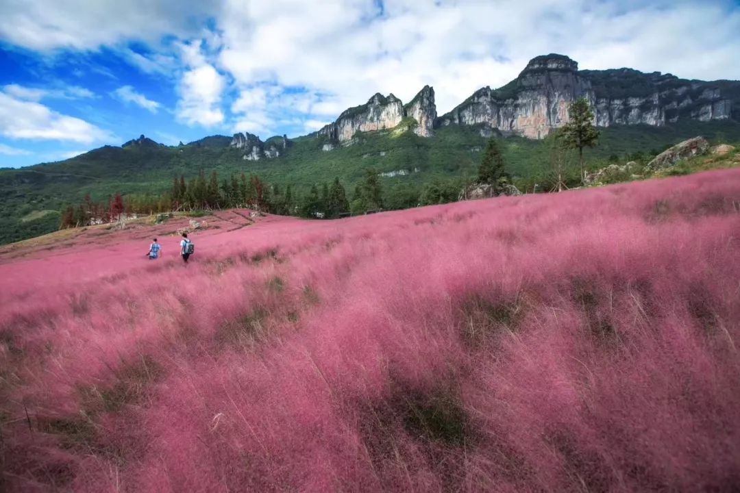 五一重庆新晋打卡公园,重庆海陆空大世界游乐园