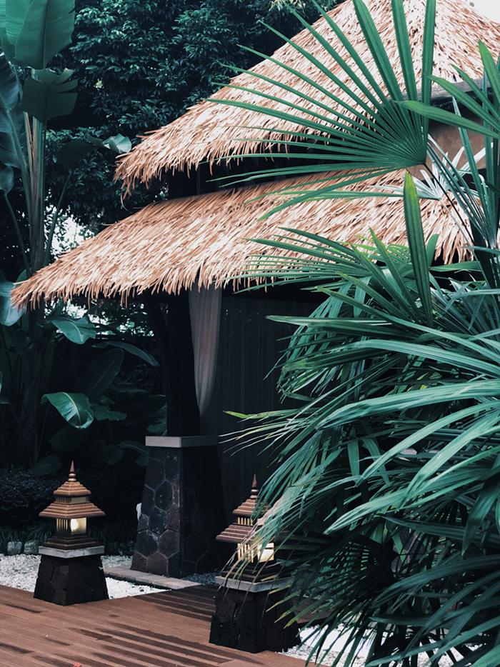 乐山峨眉山泡温泉,峨眉冬天泡温泉攻略