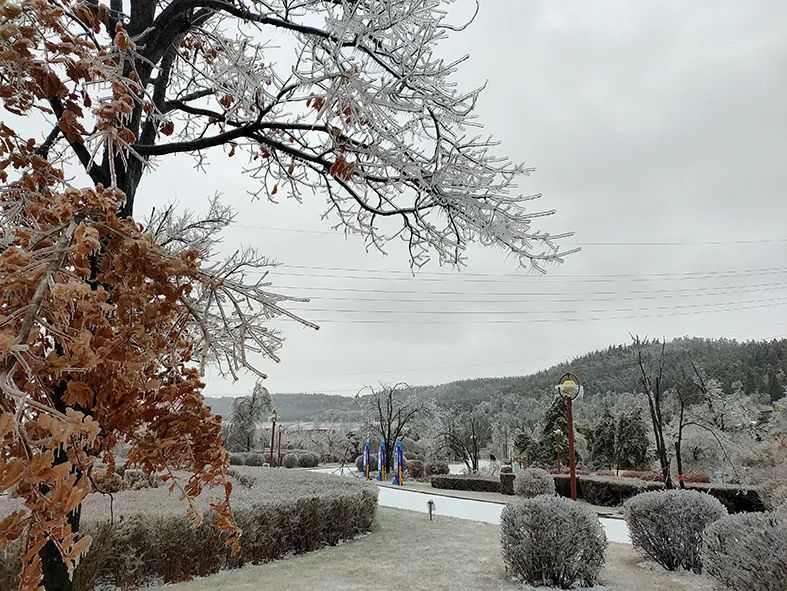 延边滑雪东北已率先进入雪季,延边开启滑雪季快来嗨翻冬天