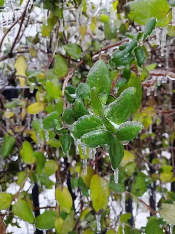 延边开启滑雪季快来嗨翻冬天,雪雪来了