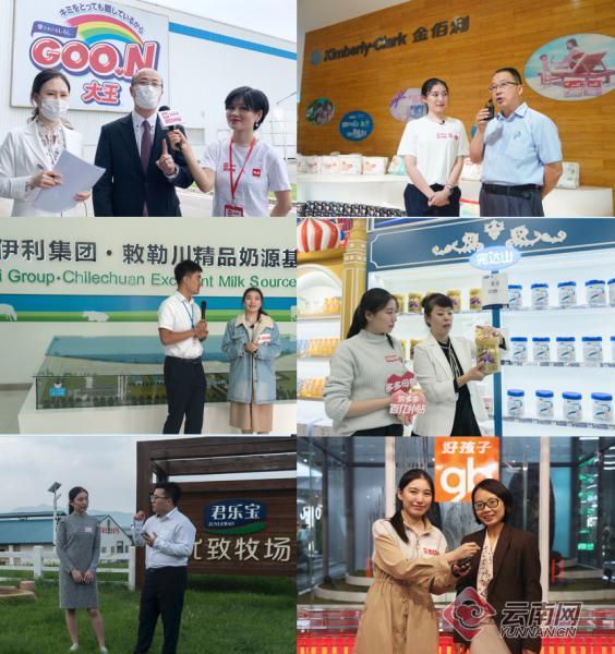 拼多多正品母婴奶粉店,拼多多旗舰店买的奶粉扫码是正品