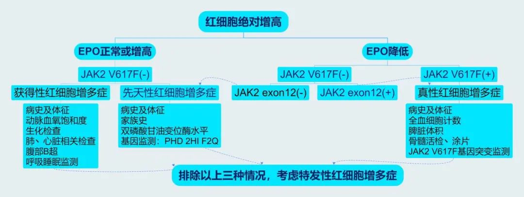 新生儿红细胞增多症诊断标准,最新版的真红细胞增多症诊断标准