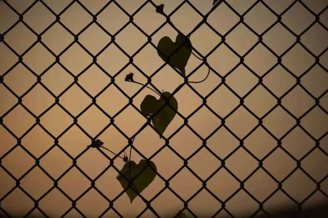 清北现在的情况,清北最新消息