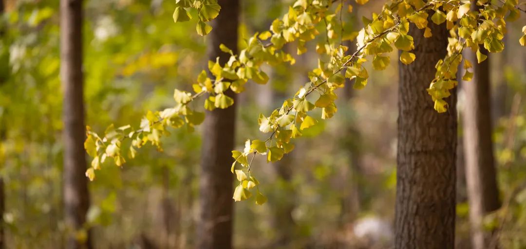 清北现在的情况,清北最新消息