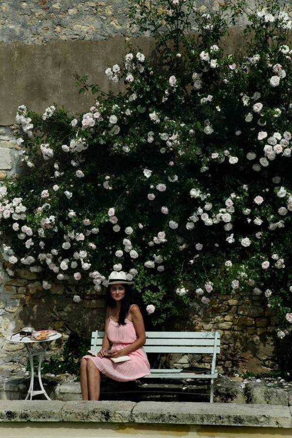 养十几只狗狗博主,网红养小土狗日常