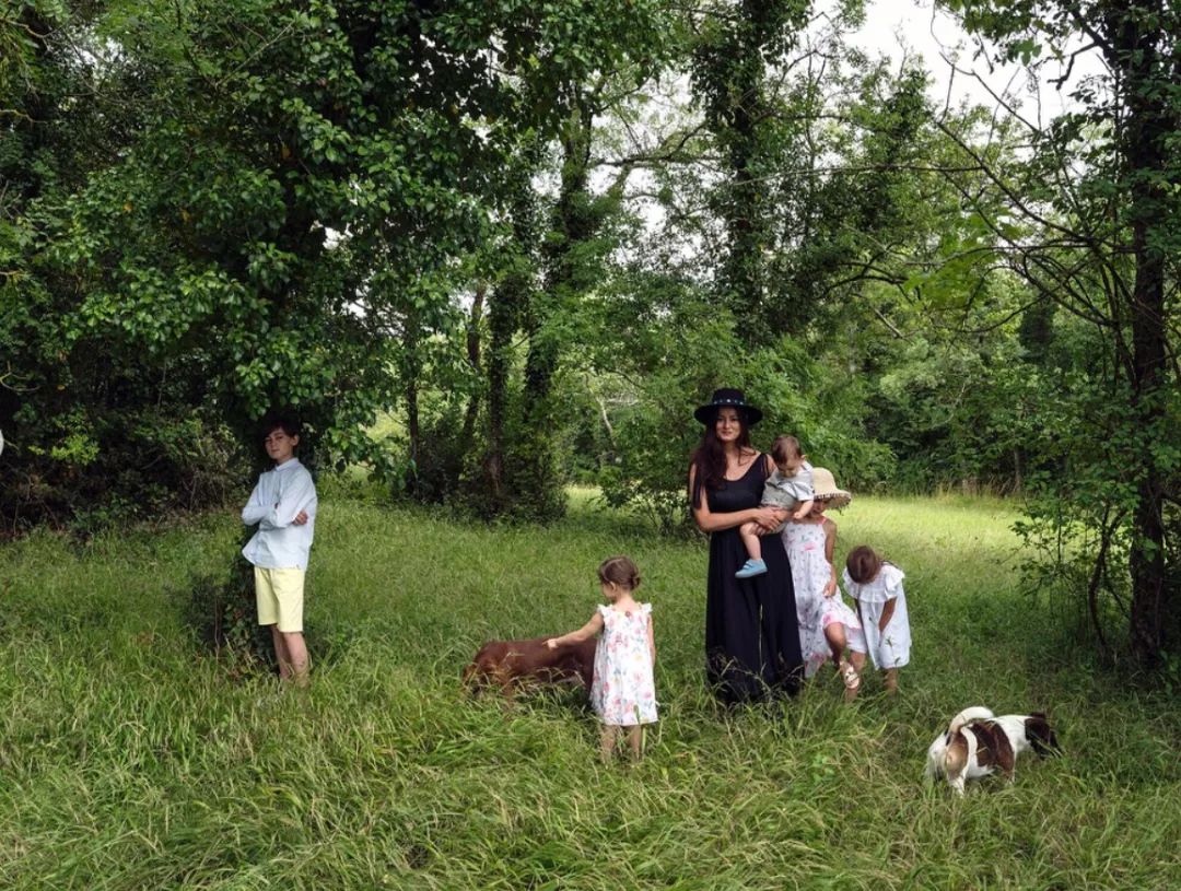 养十几只狗狗博主,网红养小土狗日常