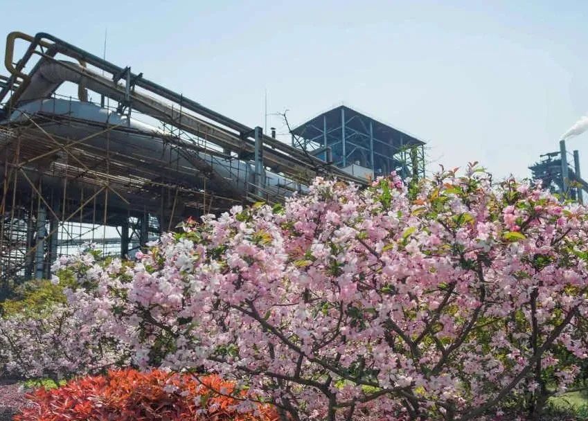 主城区价格洼地新楼盘,板桥新城房价升值空间