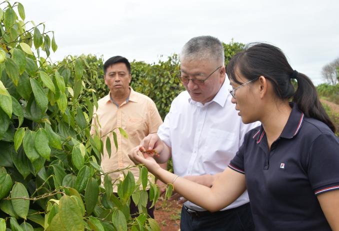奋进自贸港勇当排头兵,奋进新时代建功自贸港