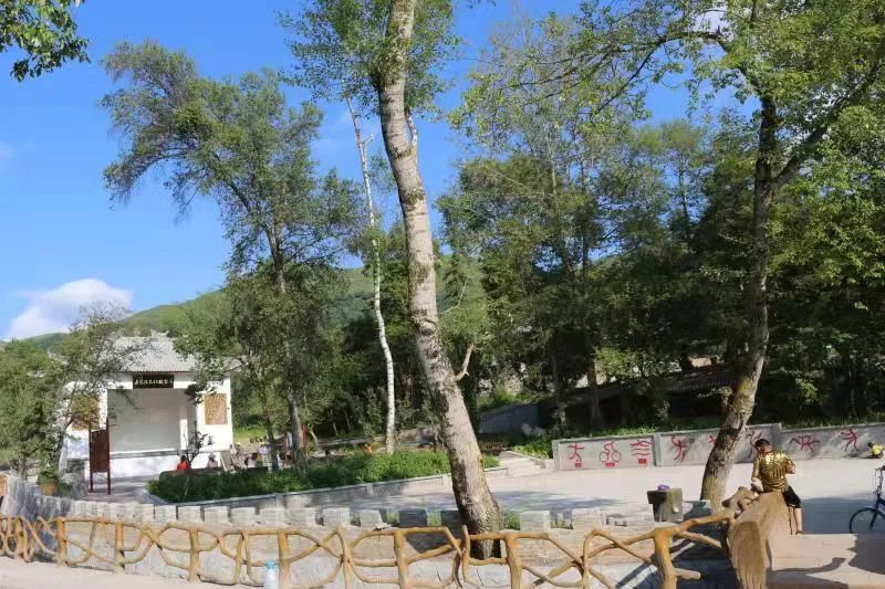 云巅金马池,诗意的远方