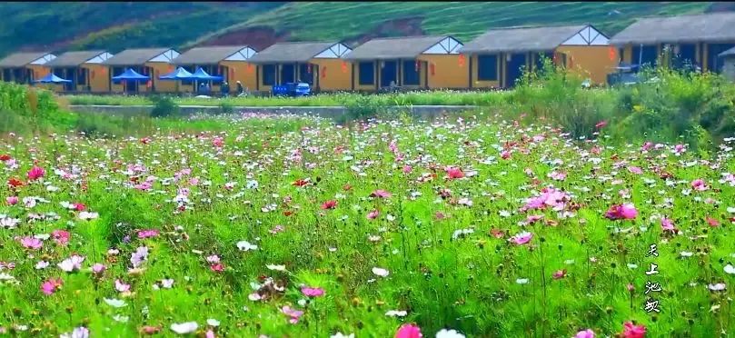 云巅金马池,诗意的远方