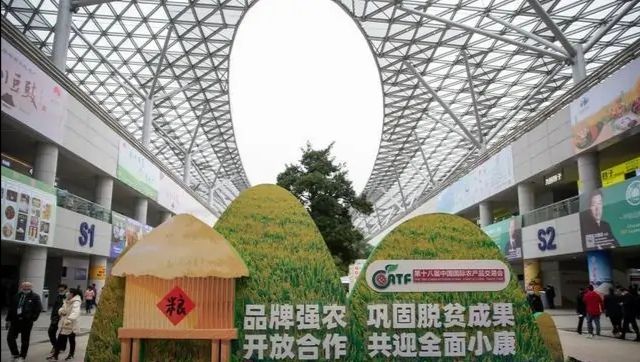 礼泉小河御梨最新消息,陕西礼泉苹果