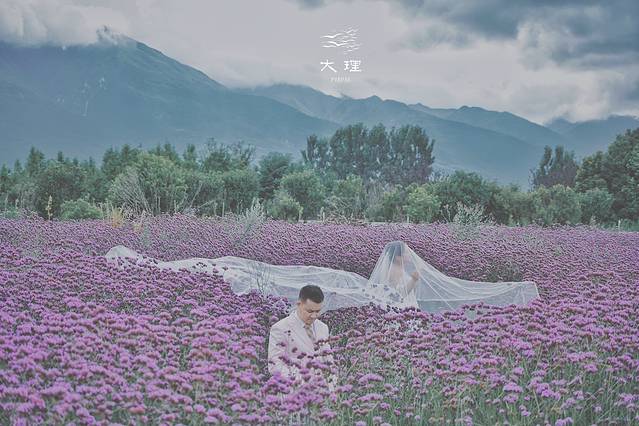 长沙自驾去大理多少钱,生活需要惊喜自驾直奔大理