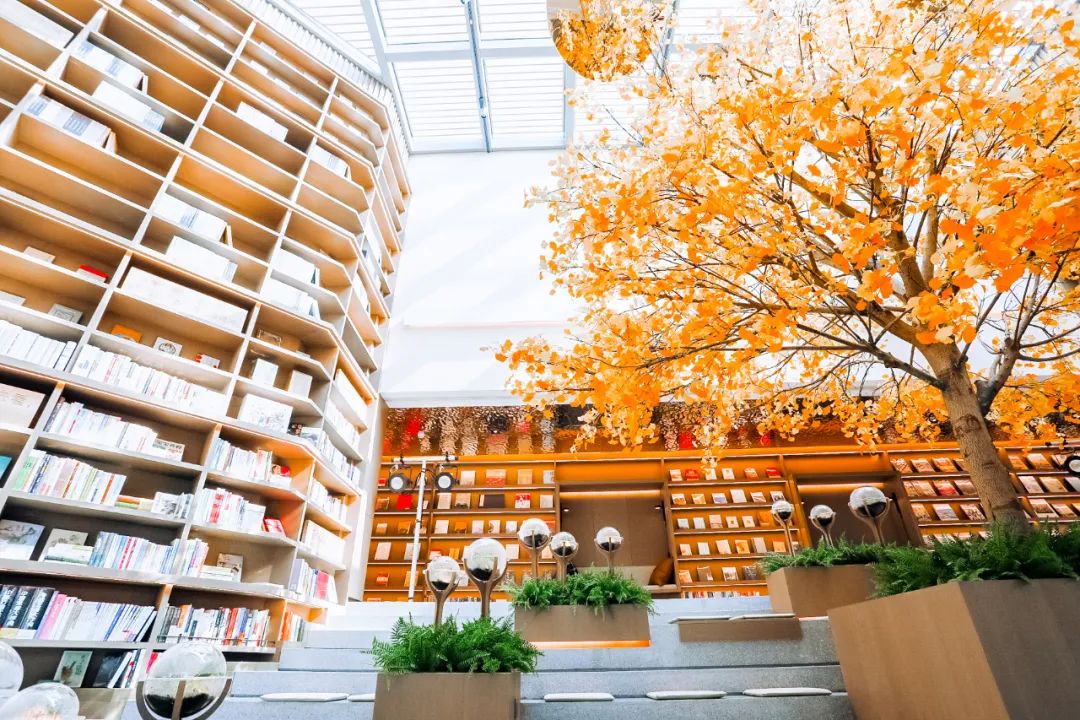 上海分店最多的民营书店,5年营业额翻了50倍