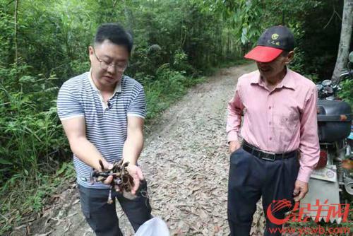广州南沙区打出消费扶贫“组合拳”,巩固脱贫成果助推乡村振兴