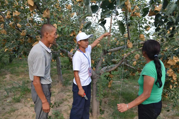 老张的故事大全,老张的故事
