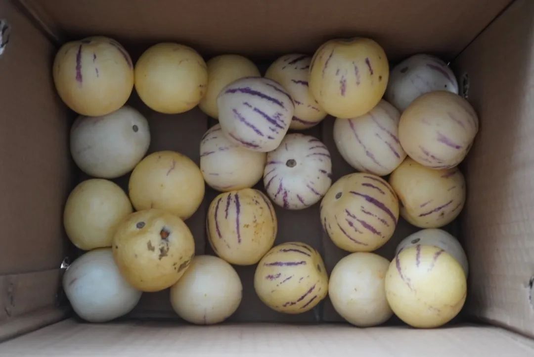 这世界上真有在拼夕夕购物而不翻车的人吗？