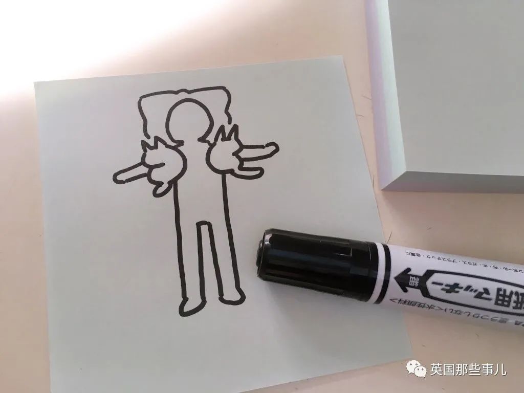 多猫家庭猫咪也会尿闭吗,多猫家庭为什么不能洗澡