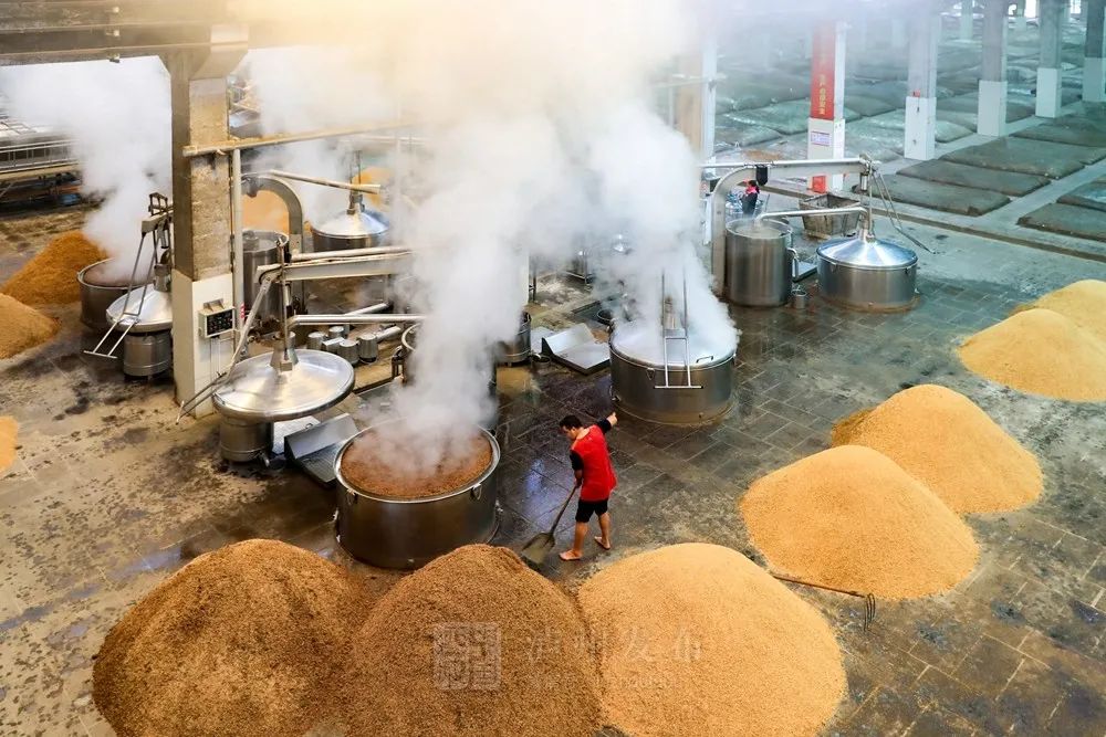 砥砺奋进的五年丨千亿近在咫尺！“变”与“不变”看泸酒