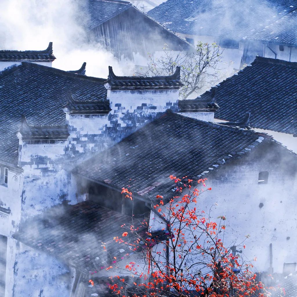 冬天的婺源你见过吗,婺源的秋天到底有多美