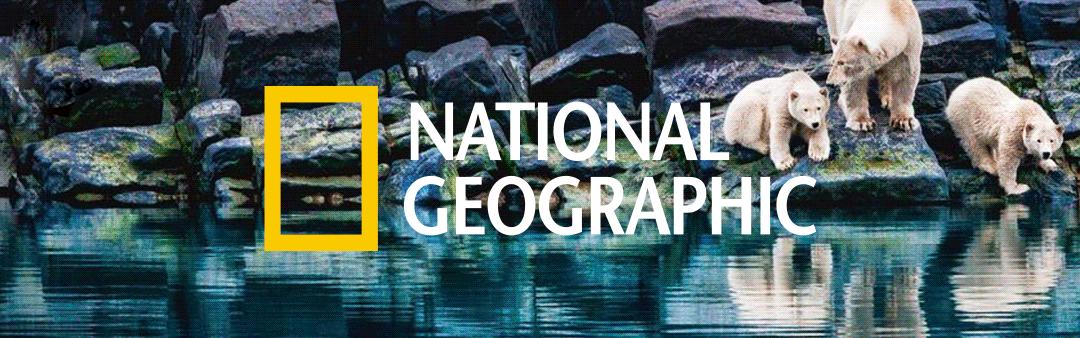 搜索博物馆里的文物,搜索博物馆