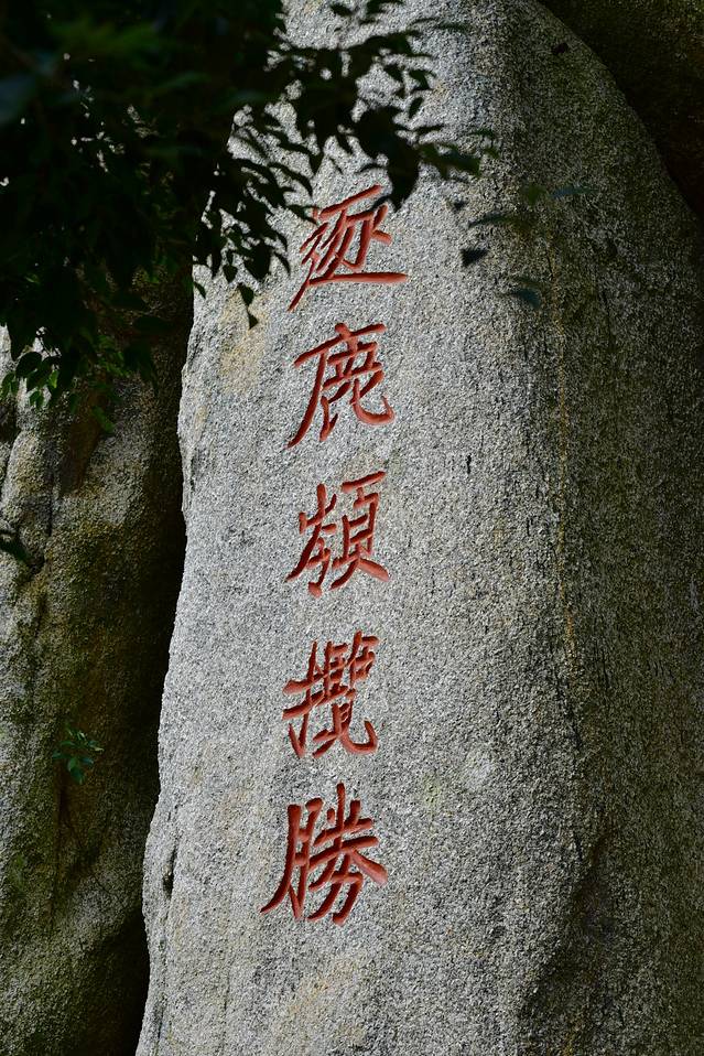 去三亚拍亲子写真照选什么地方,三亚旅拍亲子照爷爷奶奶可以去吗