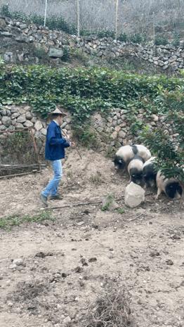 差别在哪？丽水普通山里农耕，却被俄罗斯小伙过成“田园诗”，获赞千万