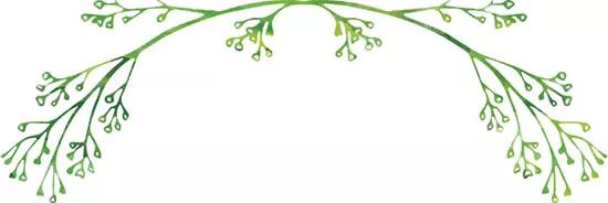 疗愈身心的书籍,自我疗愈的书籍推荐