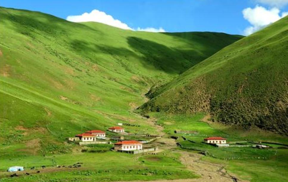 鍐閲岀殑缇婄兢,娣卞北閲岀殑缇婄兢