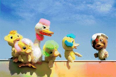 点我！遇见冬季浪漫，来昌建广场看极光吧