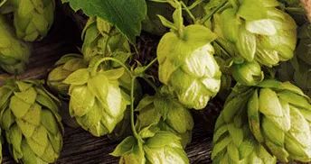 有什么方法可以丰胸不用丰胸产品,其实丰胸很简单呀