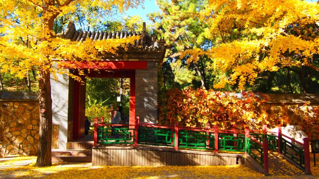 漫谈相对论合集,圆明园圆明时光