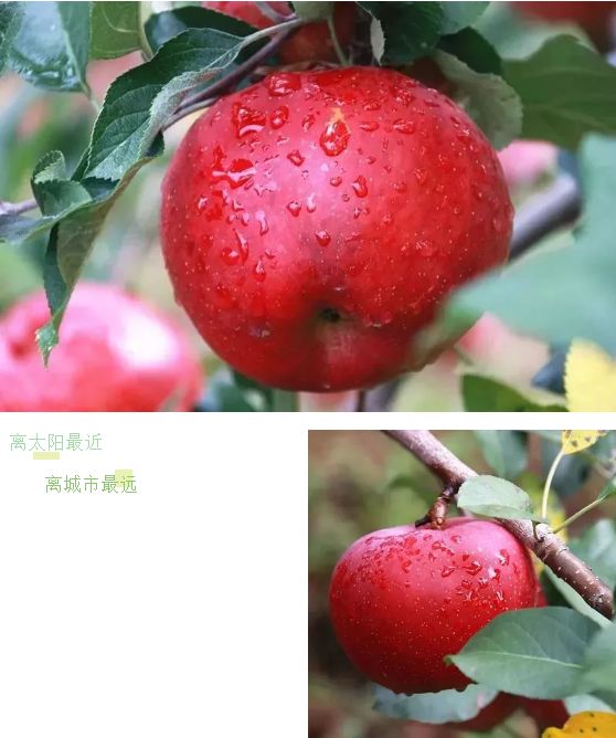 冬天感受阳光的味道,冬天到凉山