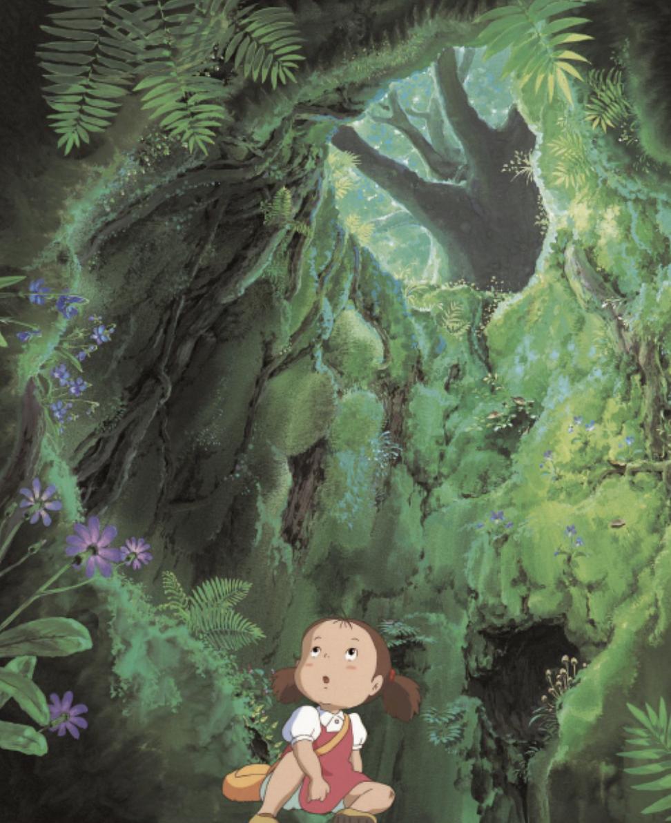 龙猫绘本,龙猫绘本好看吗