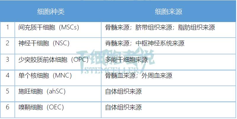 脊髓损伤治疗国际新突破,干细胞治疗急性脊髓损伤