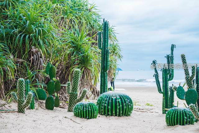 12月底三亚旅行攻略,12月份三亚自由行攻略