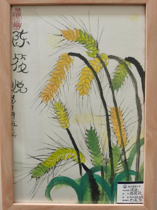 烟台港城中学：社团汇报精彩纷呈，校园生活绚丽多姿