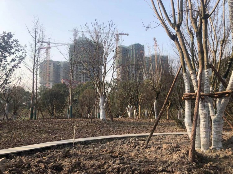 高家坝足球公园,达州高家坝足球公园