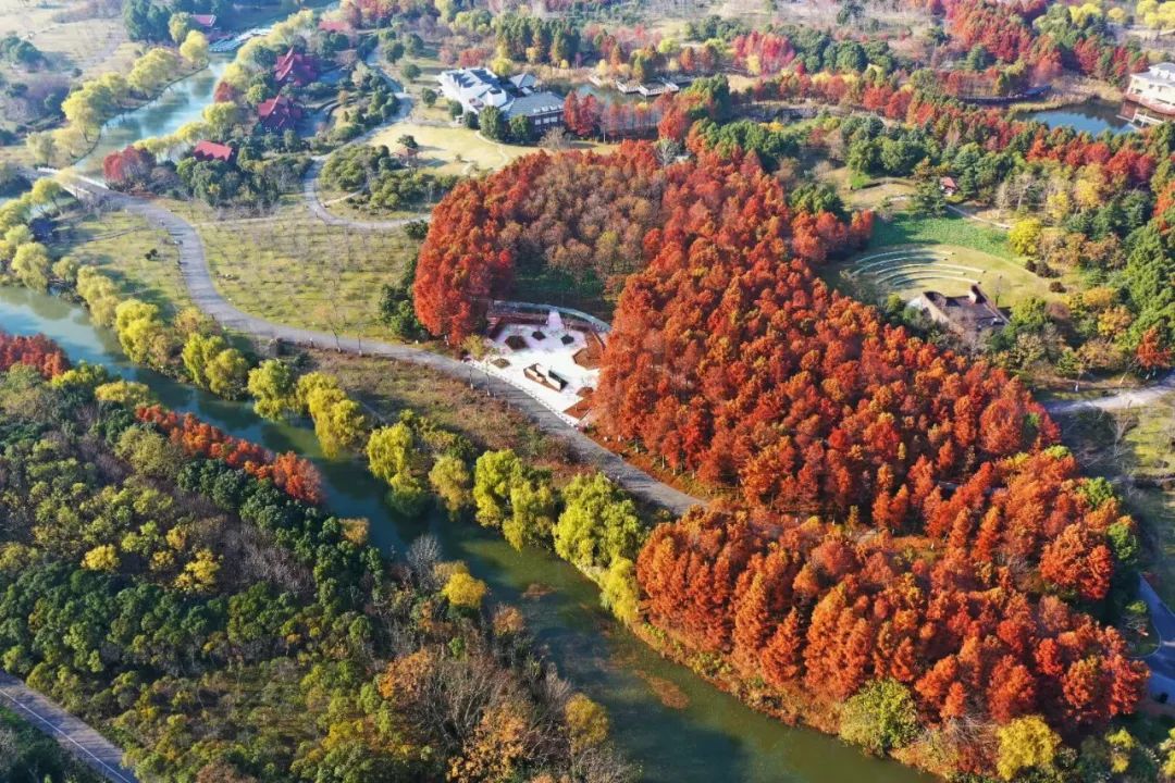 春节特价酒店推荐,江浙沪5.1不加价酒店