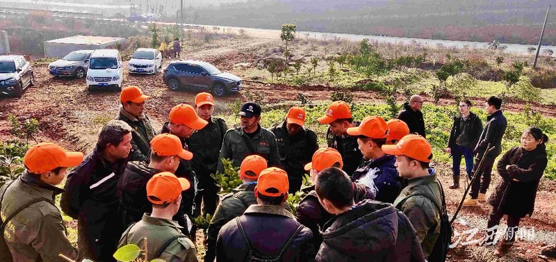 会昌鲜丰脐橙园,会昌橙果园