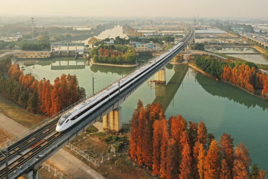 1月最美的佛山藏在这里！全部免费赏！