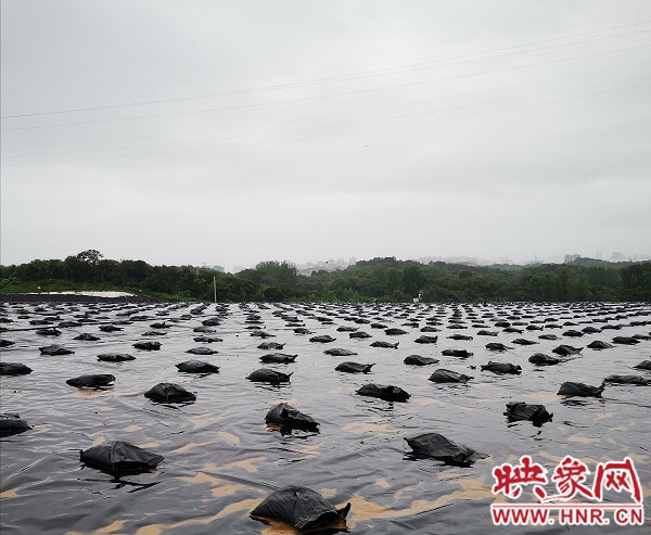 信阳卓东海：甘当城市美容师用汗水换清洁