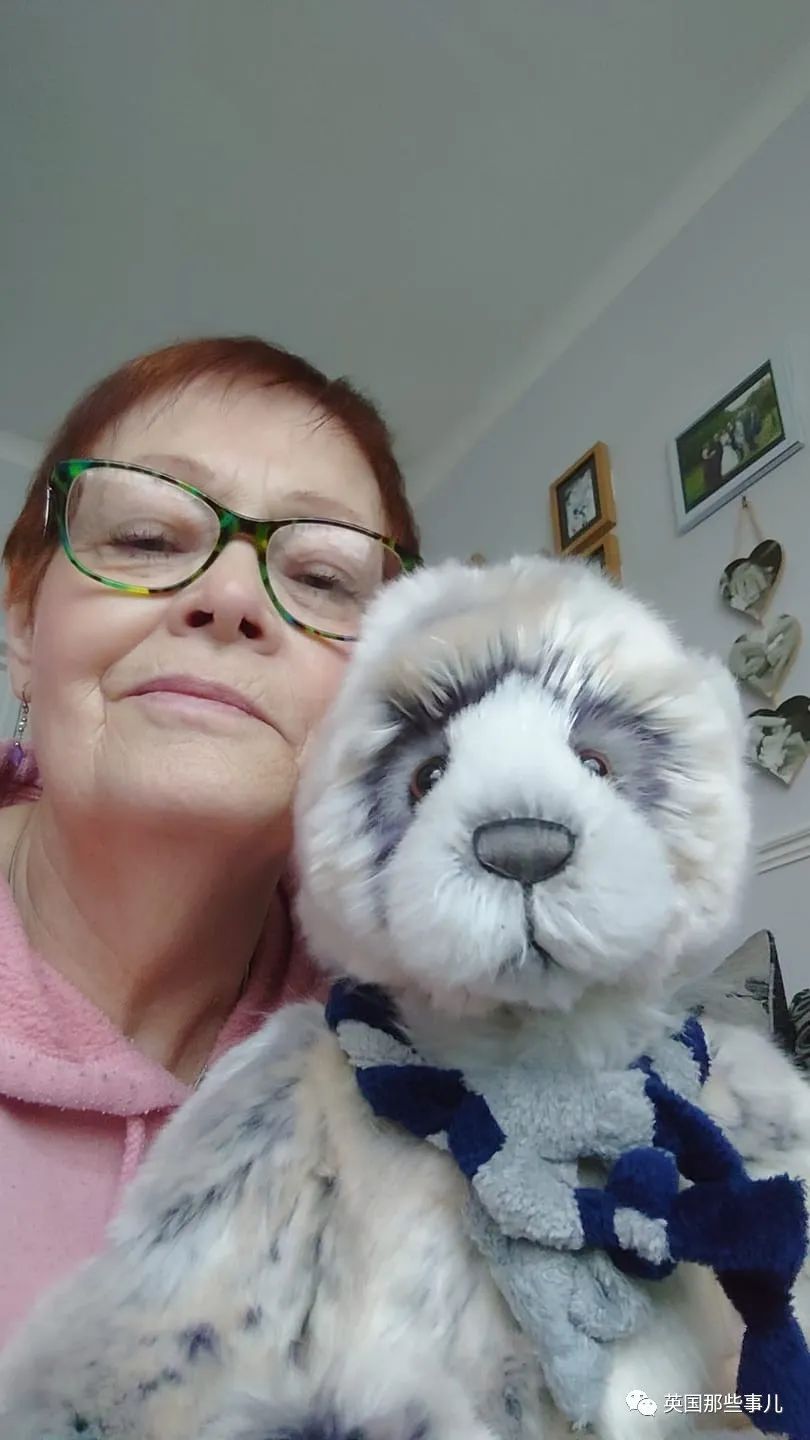 泰迪熊治愈,治愈泰迪熊