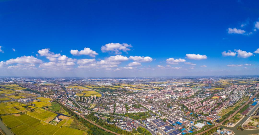 2020金山区重点项目,金山区产业结构升级