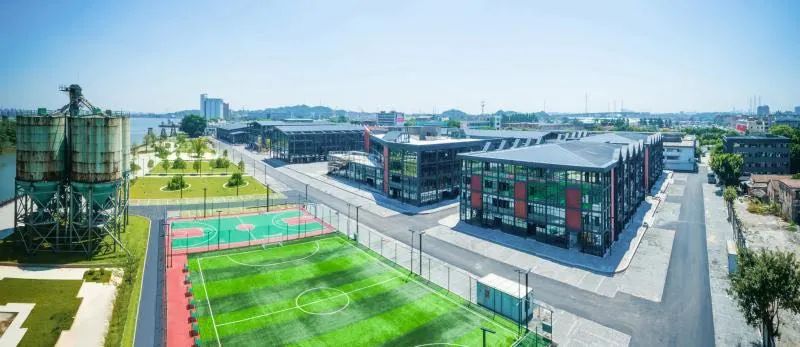 花城政能量丨有干货!海珠区这么做,村民经济效益大提升